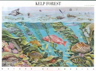 4554-4563 KB Fauna