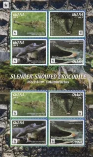 4691-4694 Fauna