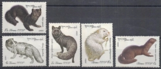 4968-4972 Fauna