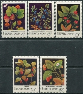5155-5159 Flora