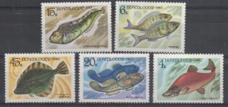 5294-5298 Fauna