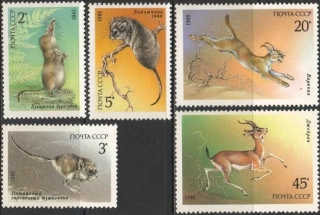 5537-5541 Fauna