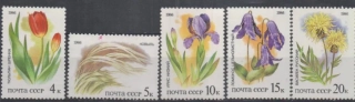 5573-5577 Flora