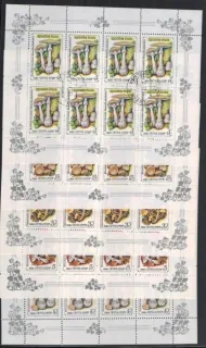 5603-5607 KB Hriby