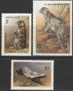 5711-5713 Fauna