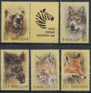 5877-5881 Fauna
