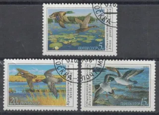 6099-6101 Vtaky