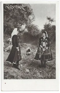 Albánsko - Shkodra