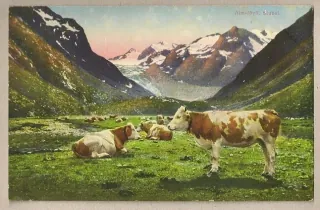 Alm Idyll
