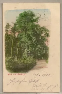 Anninger