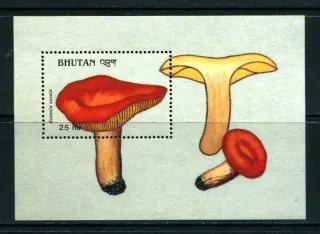 1157 BL 189 Hríby
