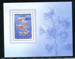 0971 BL 28