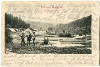 Berehovo