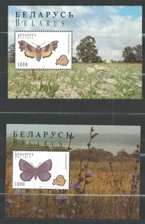 BL0007-8 Motýle
