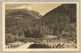 Bockstein