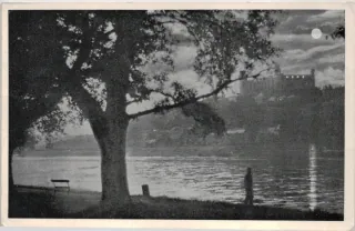 Bratislava