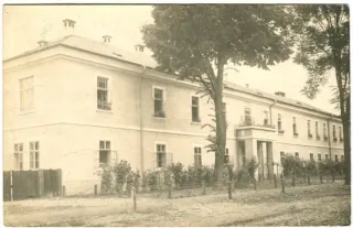 Buština
