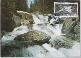 CM 037
