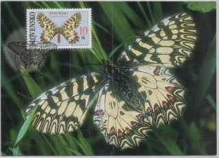 CM 043-045