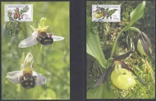 CM 077-078