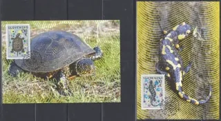 CM 081-082