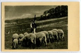 Detva