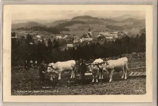 Dimbach