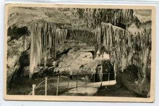 Domica