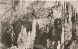Domica