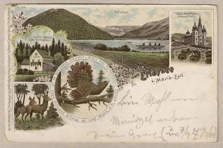 Erlafsee