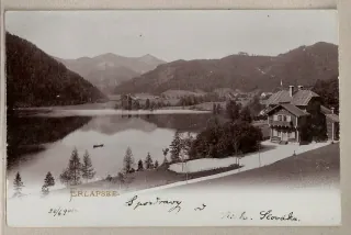 Erlafsee