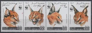 FAUNA