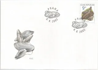 FDC 0324