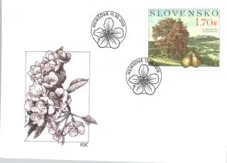 FDC 697