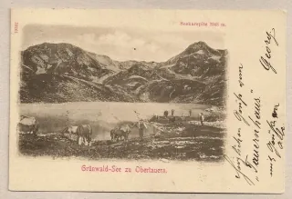 Grunwald See