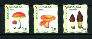 0454-0456 Hríby