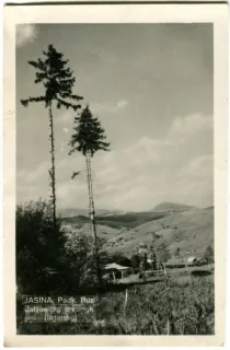 Jasiňa