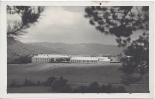 Jelšava