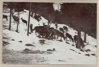 Kienberg