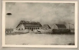 Kondoros