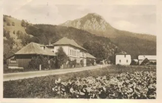 Kraľovany