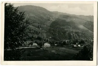 Kvasy