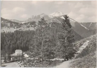 Lúčky