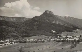 Muráň
