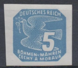 NV 11