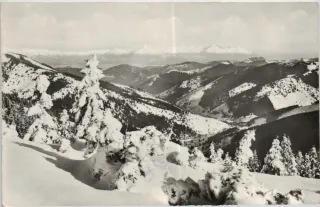 Nízke Tatry