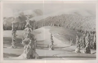 Nízke Tatry