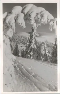 Nízke Tatry