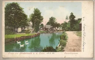 Neiderreuth