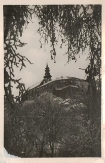 Nitra